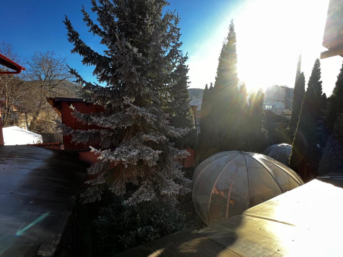 Anadi Hotel Boutique Only Adult Brasov Exterior photo